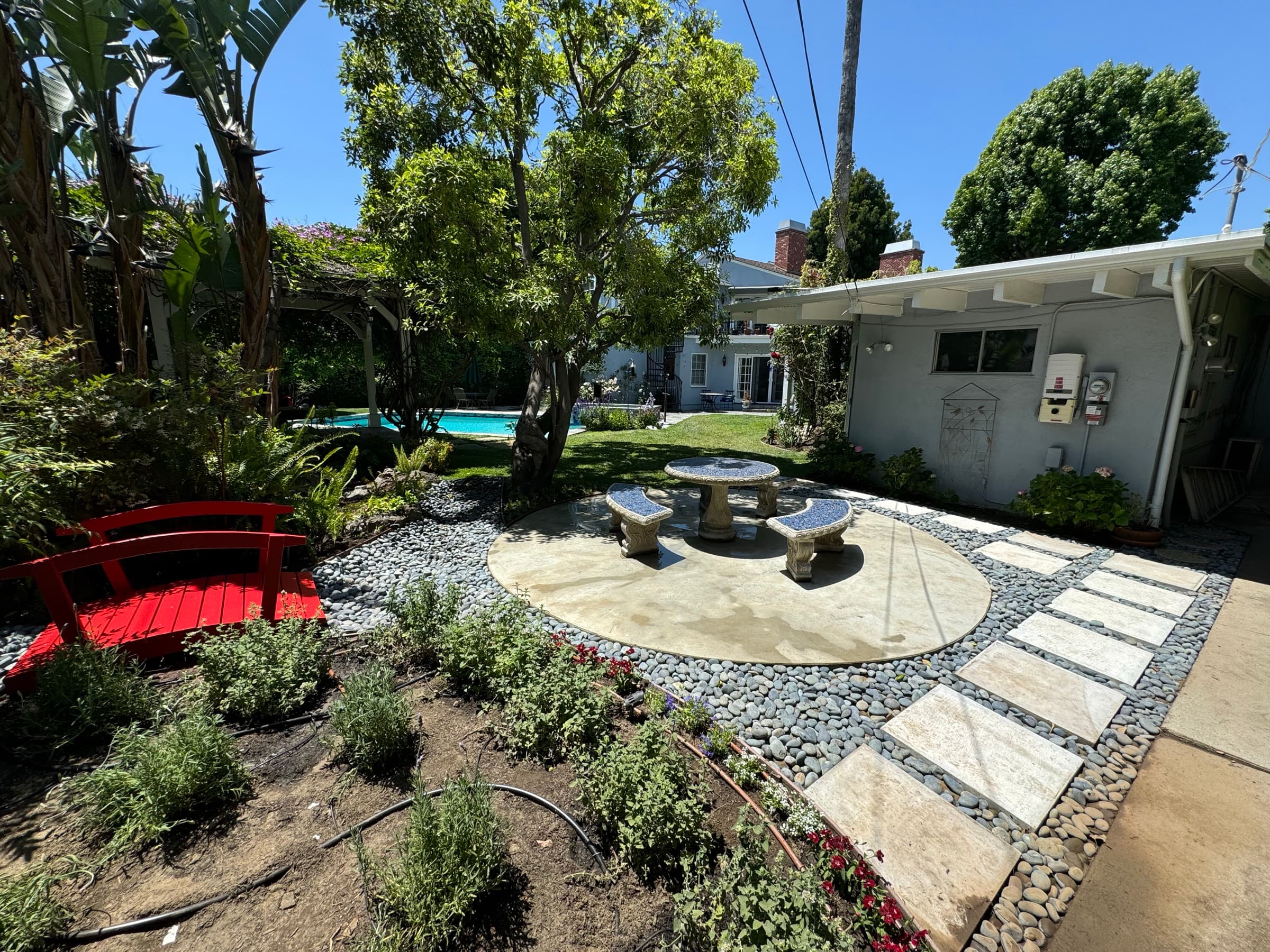 Plants & Trees